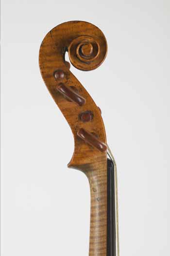 violin by Sandy, head